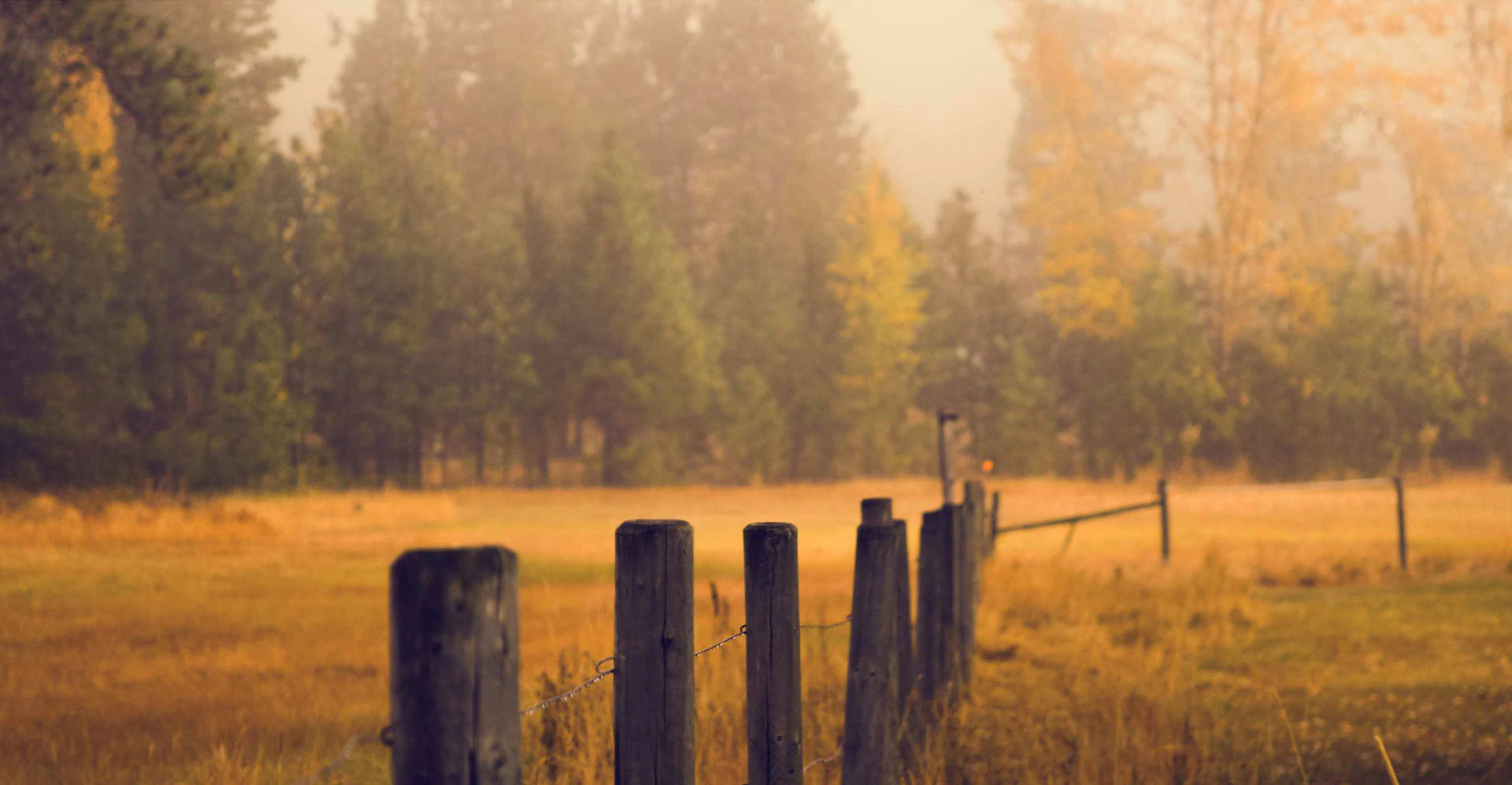 autumn landscape