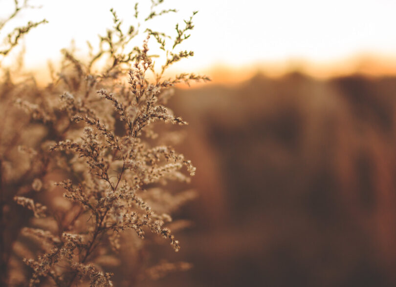 Nyttig Info Om D dsfall Og Begravelse J lstad Begravelsesbyr 