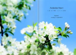 Programhefte med bilde av hvit blomster med blå himmel som bakgrunn