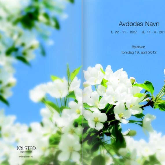 Programhefte med bilde av hvit blomster med blå himmel som bakgrunn