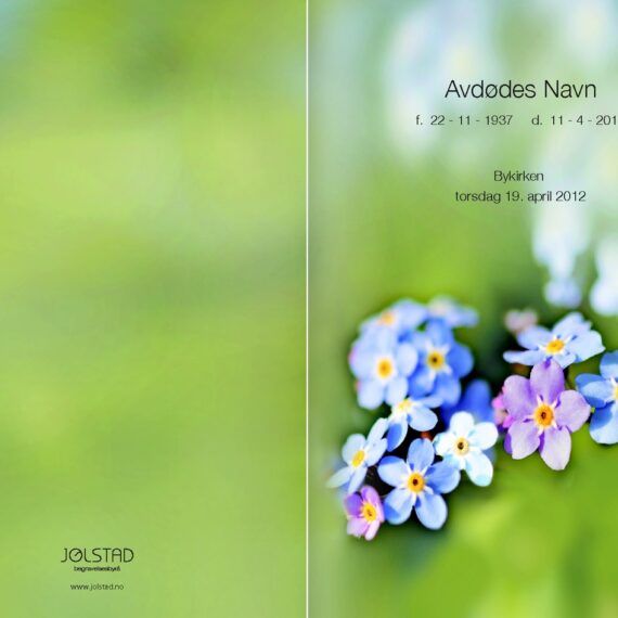 Programhefte med bilde av blå og lille blomster med grønn bakgrunn