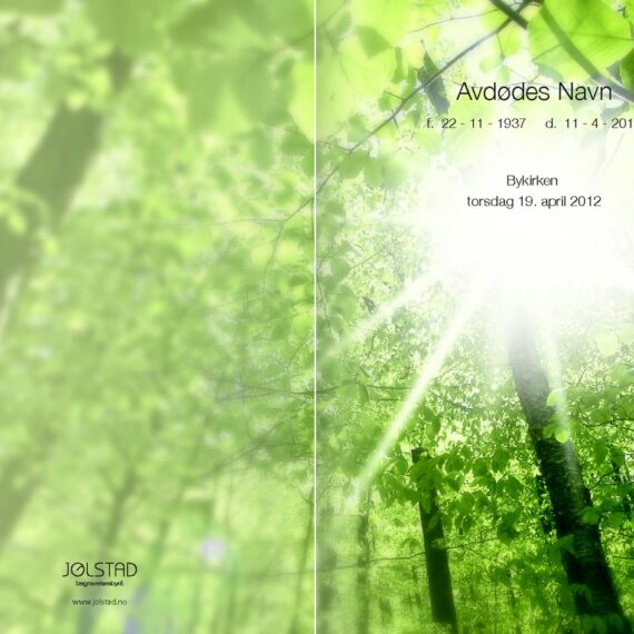 Programhefte med bilde av høye trær med solen som skinner mellom