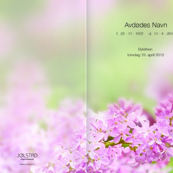 Programhefte med bilde av lyselilla blomster med grønn bakgrunn