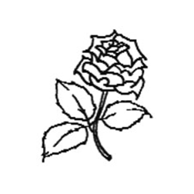 Symbol av en rose
