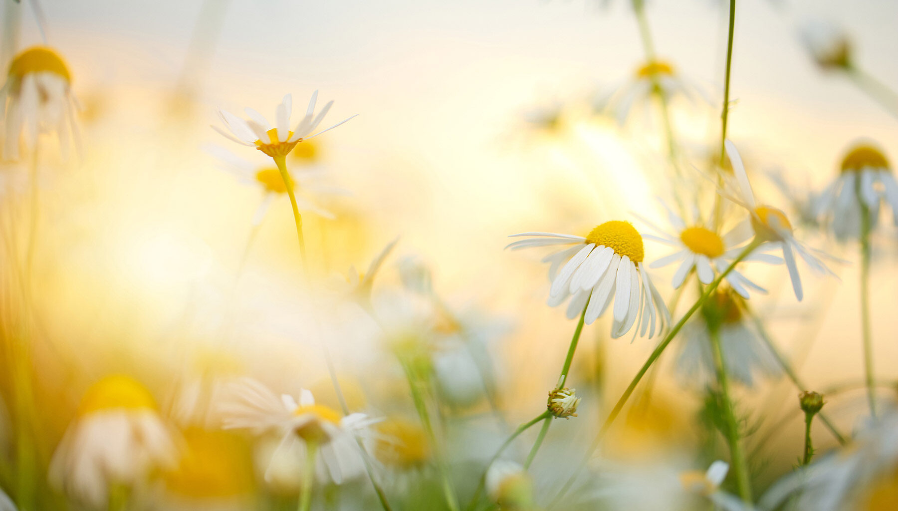 Arveoppgjør og skifte – hvordan skal arv fordeles?