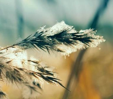 Vasileios Balantanis